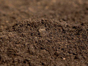 Soil, Compost & Bark